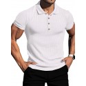 Men's Golf Shirt Plain Striped Solid Color Classic Collar Casual Daily Short Sleeve Tops Business Simple Casual Classic White Black Light gray / Summer Comfortable Lightwight Quick dry