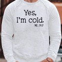 Men's Sweatshirt Pullover Graphic Letter  Yes I'm Cold Me 24 7 Funny Quote Print Daily Holiday Going out Hot Stamping Casual Streetwear Hoodies Sweatshirts  White Black Blue