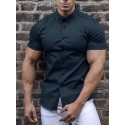 Men's Casual Shirt Solid Color Turndown  Daily Street Sport Button-Down Short Sleeve Tops Lightweight Fashion Comfortable Big and Tall White Black Blue / Summer Muscle Shirt